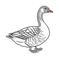 Charming Goose in Realistic Color vector
