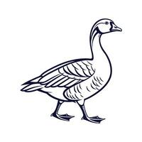 Captivating Outline Goose Illustration vector