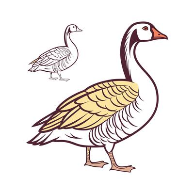 Elegant Goose in Vibrant Outline Color