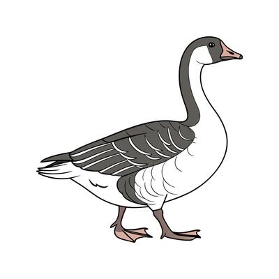 Charming Goose Realistic Outline Illustration