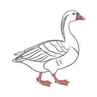 Stylish Realistic Outline of Goose vector