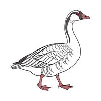 Captivating Goose in Beautiful Outline Colors vector