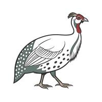 Captivating Guinea Fowl in Realistic Outline Art vector