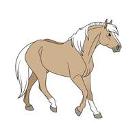 Charming Haflinger Horse in Realistic Colors vector