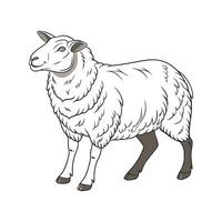 Stylish Hampshire Sheep in Beautiful Colors vector