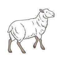 Stylish Hampshire Sheep in Vibrant Realistic Colors vector