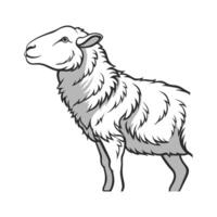 Charming Herdwick Sheep in Realistic Colors vector