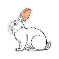 Charming Havana Rabbit in Realistic Colors vector