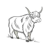 Captivating Highland Cow Illustration with Outline Style vector