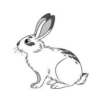 Vivid Himalayan Rabbit Color Illustration with Detail vector