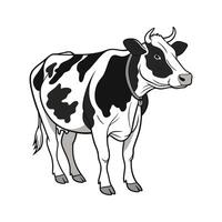 Unique Holstein Cow Color Illustration with Creative Style vector
