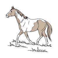 Creative Realistic Horse Color Illustration with Outlines vector
