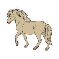 Impressive Icelandic Horse Color Illustration with Style vector