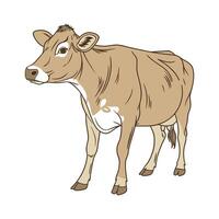 Captivating Jersey Cow Color Illustration with Vibrant Style vector