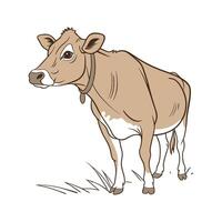 Engaging Jersey Cow Color Illustration Artwork with Outlines vector