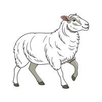 Unique Katahdin Sheep Realistic Color Illustration Style vector