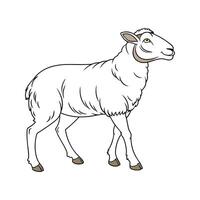 Engaging Katahdin Sheep Realistic Color Illustration vector