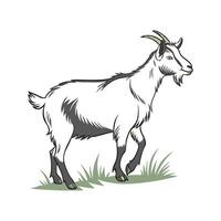 Captivating LaMancha Goat Realistic Color Illustration Art vector