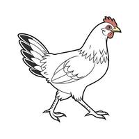 Vivid Leghorn Chicken Realistic Color Illustration vector