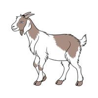 Artistic LaMancha Goat Color Illustration with Vibrant Features vector