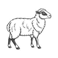 Vibrant Lincoln Sheep Realistic Color Illustration vector
