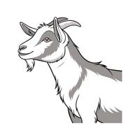 Creative LaMancha Goat Realistic Color Illustration with Style vector