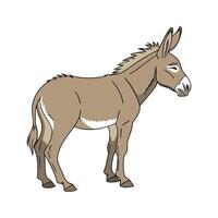 Lovely Mule Realistic Color Illustration on White vector