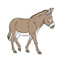 Dynamic Mule Color Illustration with Realistic Features vector