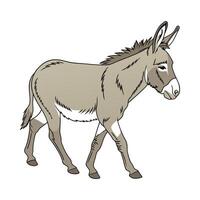 Creative Mule Color Illustration with Defined Outlines vector