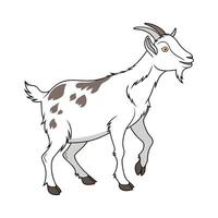 Distinct Myotonic Fainting Goat Realistic Color Illustration vector