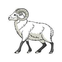 Distinctive Norfolk Horn Sheep Realistic Color Illustration vector