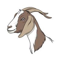 Engaging Nubian Goat Realistic Color Illustration on White vector