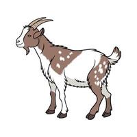 Engaging Nigerian Dwarf Goat Realistic Color Illustration vector