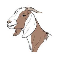 Vivid Nubian Goat Realistic Color Illustration with Outlines vector