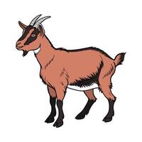 Engaging Oberhasli Goat Realistic Color Illustration vector