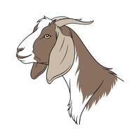 Dynamic Nubian Goat Color Illustration with Realistic Outlines vector