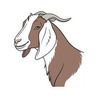 Distinctive Nubian Goat Realistic Color Illustration with Outline vector