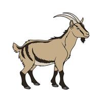 Creative Oberhasli Goat Realistic Color Illustration vector