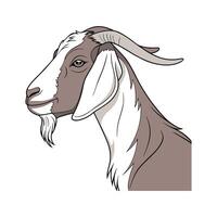 Engaging Nubian Goat Realistic Color Illustration with Outlines vector