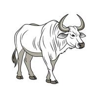Engaging Ox Realistic Color Illustration with Outlines vector