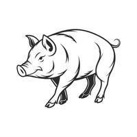 Charming Pig Outline Illustration on White vector