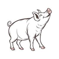 Creative Pig Realistic Illustration on White vector