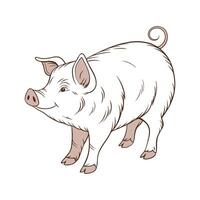 Charming Pig Realistic Color Illustration on White vector