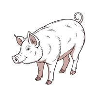 Cute Pig Realistic Color Illustration with Outline vector
