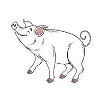 Engaging Pig Illustration on White Background vector