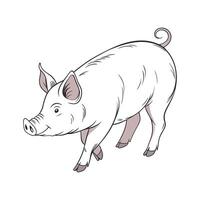 Dynamic Pig Realistic Color Illustration on White vector