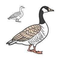 Creative Pilgrim Goose Realistic Color Illustration vector
