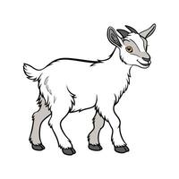 Dynamic Pygmy Goat Realistic Color Illustration vector