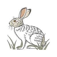 Engaging Rabbit Realistic Color Illustration on White vector