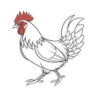 Distinct Rhode Island Red Chicken Realistic Color Illustration vector